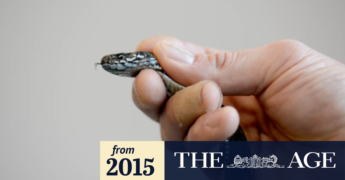 Snake Venom Research Bank